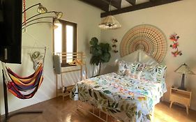 The Garden Apartment, The Willow Apartment, & The Tropical Apartment At Casa Of Essence In Old San Juan